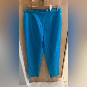 Turquoise LeiLei cotton pants size 10 new
